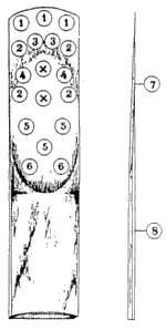 reedchart